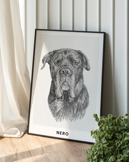 Pet Portrait Sketch