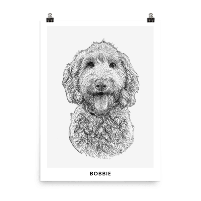Pet Portrait Sketch